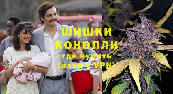ГАЛЛЮЦИНОГЕННЫЕ ГРИБЫ Елабуга