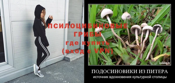 ГАЛЛЮЦИНОГЕННЫЕ ГРИБЫ Елабуга