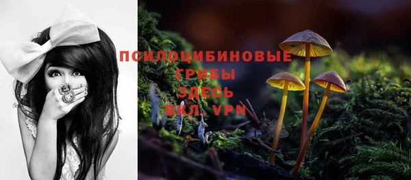 дмт Заволжск
