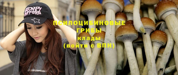 ГАЛЛЮЦИНОГЕННЫЕ ГРИБЫ Елабуга